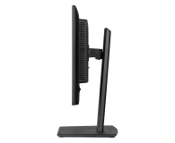 IIYAMA ProLite XB2492HSU-B1 - 1361884 - zdjęcie 4